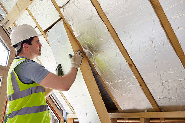 Best Types of Insulation in , MI